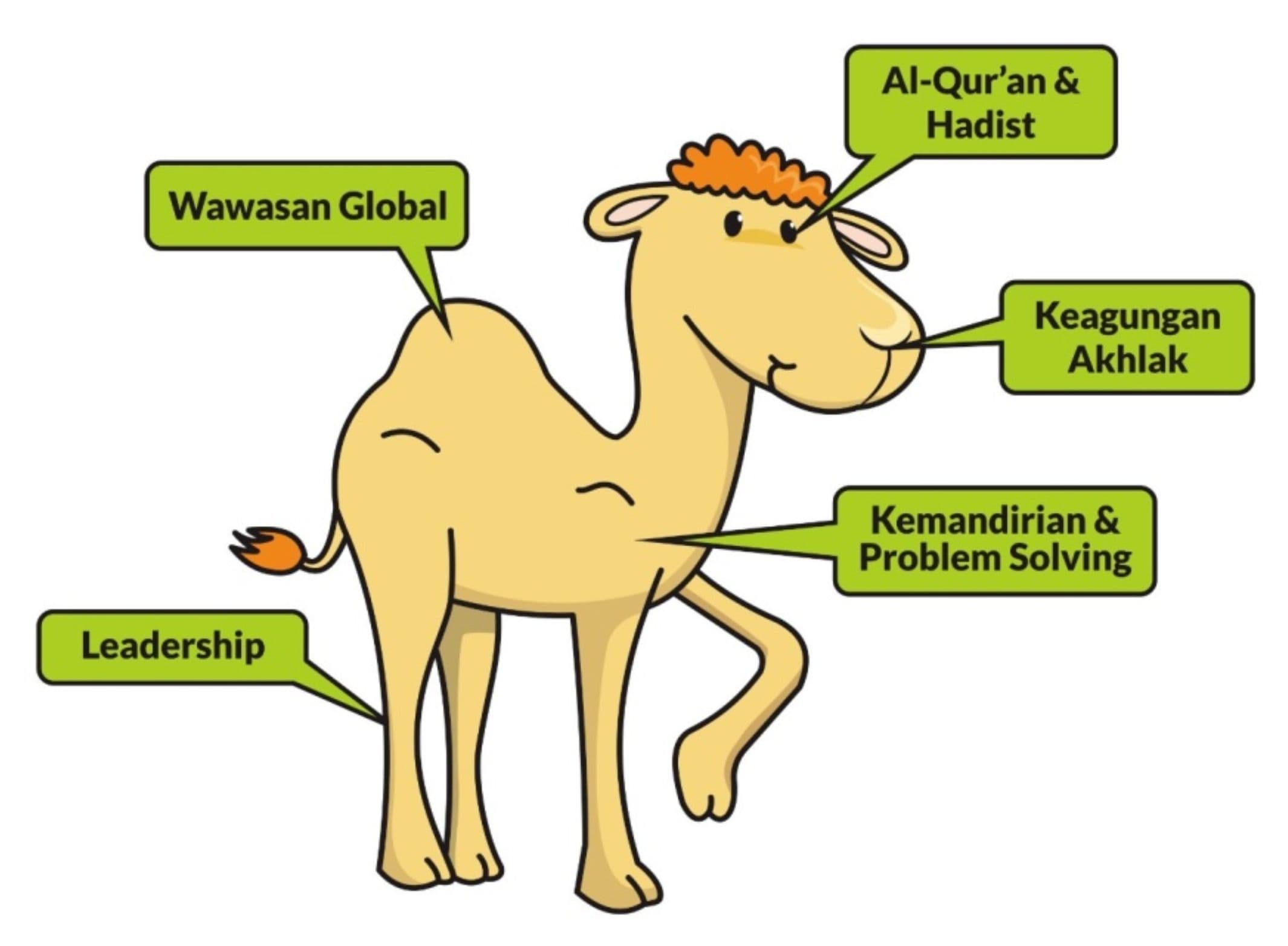 Camel Philosophy